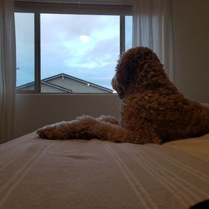 Meet your Posher, Brandon